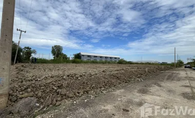 Land for sale in Don Khoi, Nakhon Pathom