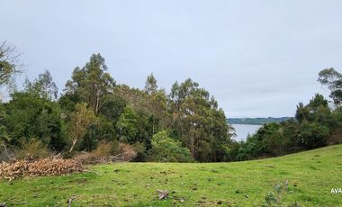 Parcela en venta en LOS MUERMOS