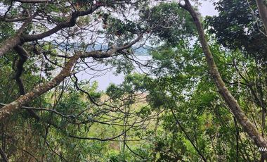 Parcela en venta en LOS MUERMOS