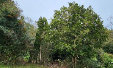 Parcela en venta en LOS MUERMOS