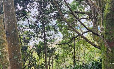 Parcela en venta en LOS MUERMOS