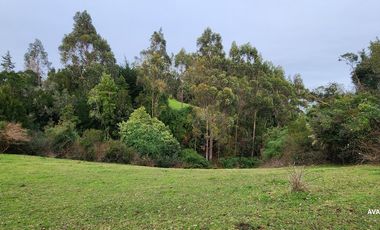 Parcela en venta en LOS MUERMOS