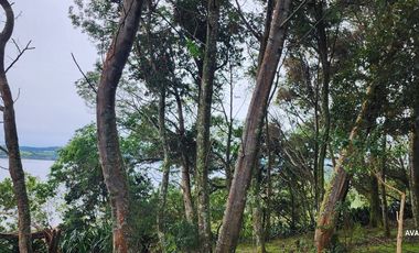 Parcela en venta en LOS MUERMOS