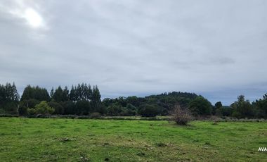 Parcela en venta en LOS MUERMOS