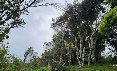 Parcela en venta en LOS MUERMOS