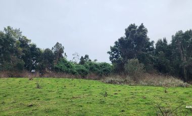 Parcela en venta en LOS MUERMOS