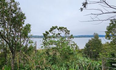 Parcela en venta en LOS MUERMOS