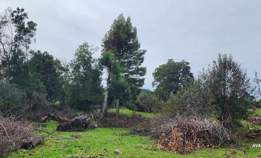 Parcela en venta en LOS MUERMOS