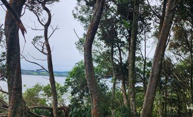 Parcela en venta en LOS MUERMOS