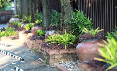 42 Bedroom Hotel for sale in Rim Tai, Chiang Mai