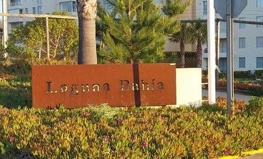 Departamento en arriendo en ALGARROBO