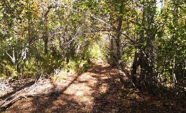 Parcela en venta en YUNGAY