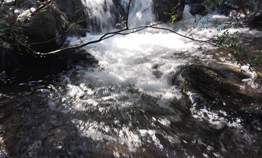 Parcela en venta en YUNGAY