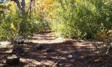 Parcela en venta en YUNGAY
