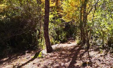 Parcela en venta en YUNGAY