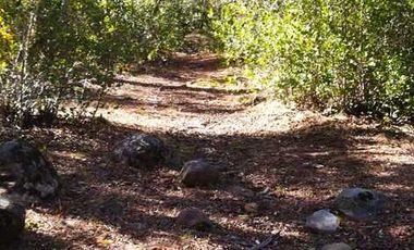 Parcela en venta en YUNGAY