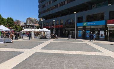 Local Comercial en Arriendo en villanelo alt 100