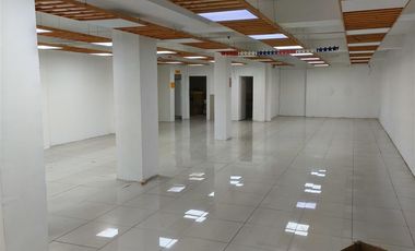 Local Comercial en Arriendo en villanelo alt 100