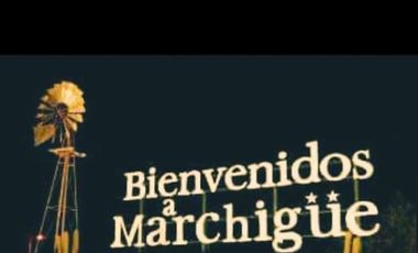 Parcela en Venta en Yerbas Buenas Valles de Marchigue Parcela 7