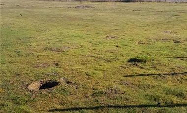 Parcela en Venta en Yerbas Buenas Valles de Marchigue Parcela 7