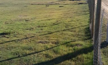 Parcela en Venta en Yerbas Buenas Valles de Marchigue Parcela 7