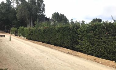 Parcela en venta en PICHILEMU