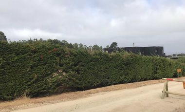 Parcela en venta en PICHILEMU