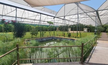 Divino Jardin de eventos en Jiutepec Morelos