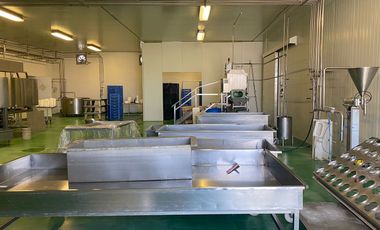 Nave industrial en venta en Puerta de San Rafael, Corregidora, Queretaro