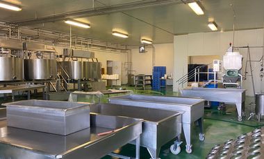 Nave industrial en venta en Puerta de San Rafael, Corregidora, Queretaro
