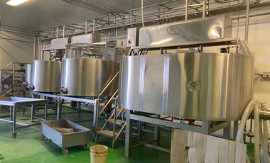 Nave industrial en venta en Puerta de San Rafael, Corregidora, Queretaro