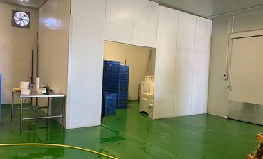 Nave industrial en venta en Puerta de San Rafael, Corregidora, Queretaro