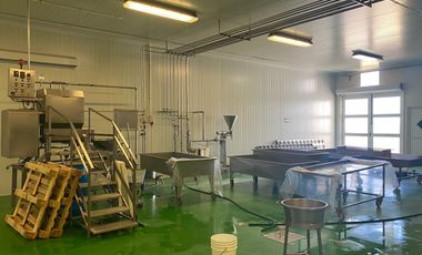 Nave industrial en venta en Puerta de San Rafael, Corregidora, Queretaro