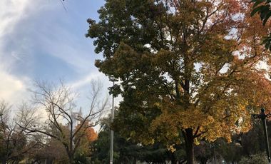 Depto.  Amoblado Full Equipado en Providencia !!!! 2D 2B 1E