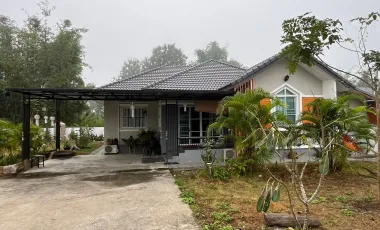 Peaceful Nature Family House