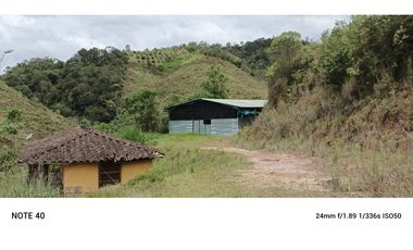 vendo finca productiva san vicente Ferrer Antioquia 93,4 hectareas