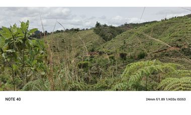 vendo finca productiva san vicente Ferrer Antioquia 93,4 hectareas