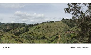 vendo finca productiva san vicente Ferrer Antioquia 93,4 hectareas