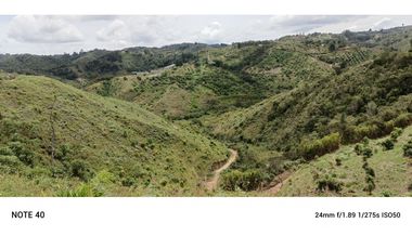 vendo finca productiva san vicente Ferrer Antioquia 93,4 hectareas