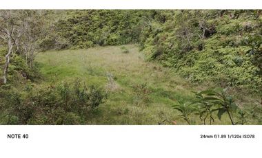 vendo finca productiva san vicente Ferrer Antioquia 93,4 hectareas