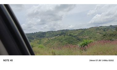 vendo finca productiva san vicente Ferrer Antioquia 93,4 hectareas