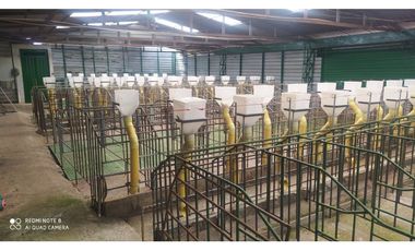 vendo finca productiva san vicente Ferrer Antioquia 93,4 hectareas