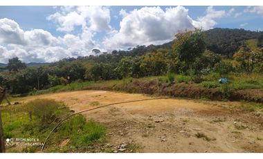 vendo finca productiva san vicente Ferrer Antioquia 93,4 hectareas