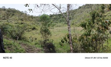 vendo finca productiva san vicente Ferrer Antioquia 93,4 hectareas