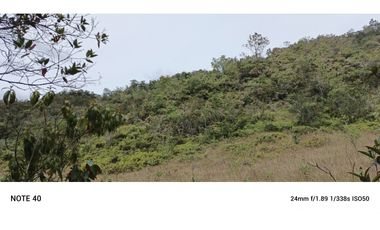 vendo finca productiva san vicente Ferrer Antioquia 93,4 hectareas