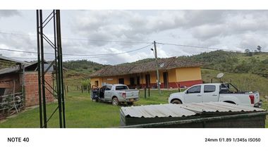 vendo finca productiva san vicente Ferrer Antioquia 93,4 hectareas