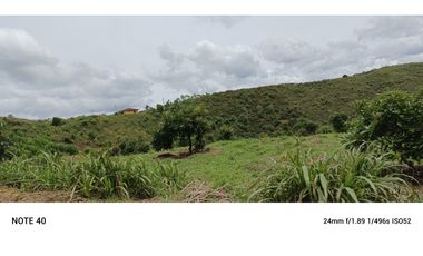vendo finca productiva san vicente Ferrer Antioquia 93,4 hectareas