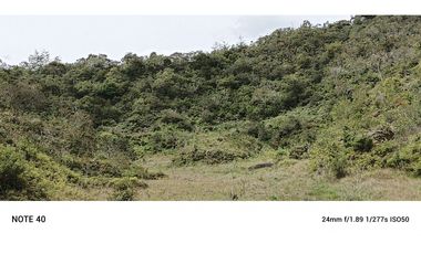 vendo finca productiva san vicente Ferrer Antioquia 93,4 hectareas