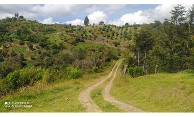vendo finca productiva san vicente Ferrer Antioquia 93,4 hectareas