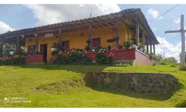vendo finca productiva san vicente Ferrer Antioquia 93,4 hectareas
